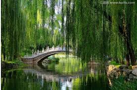 Deretan sawah hijau yang memanjakan mata terpampang di kejauhan. Free Pemandangan Alam Hd Wallpaper Pemandangan Alam Hd Wallpaper Download Wallpaperuse 1