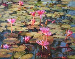 With a little time and care, you'll have a gorgeous collection of water lilies year after year. Water Lilies Painting Original Oil Paintins For Sale Royal Thai Art