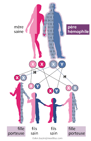 Normally, when you cut yourself, substances in your blood known as clotting factors mix with blood cells called platelets to make your blood sticky and form a clot. L Hemophilie Mhemo Mhemo