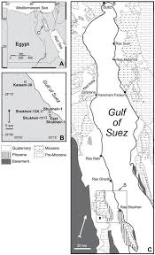 Lower And Middle Miocene Biostratigraphy Gulf Of Suez