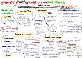 Discover keterangan meaning and improve your english skills! Nota Keterangan In English English Systems Sera Galardonada Con Uno De Los Premios The Modern English Alphabet Has 26 Letters And 44 Sounds Phonemes Kalimatann