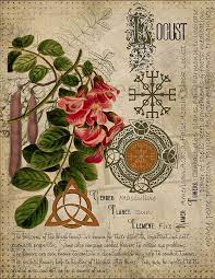 Locust Book Of Shadows Wiccan Magic Wiccan Spell Book