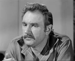 Television's New Frontier: The 1960s: January 2019