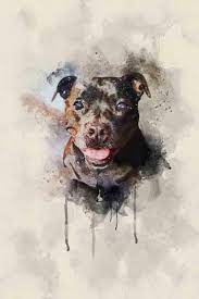 If you would like a one off, commissioned artwork of yours or a loved ones pet, car or home all you need is a good quality, clear photo and unleished art will take care of the rest. Personalised Watercolour Pet Portraits Nextgenpaws Pet Portraits