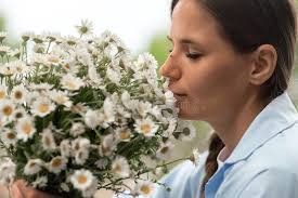 149 Woman Smelling Fragrance Outside Stock Photos
