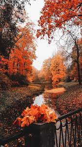 Fall Autumn Scenery Cute Fall Wallpaper Fall Wallpaper