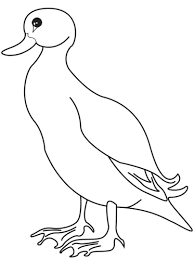 Would you like to visit your local site? 36 Free Duck Coloring Pages Printable