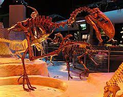 Maybe you would like to learn more about one of these? Phorusrhacidae Wikipedia