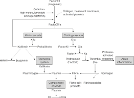 Scielo Brasil Multisystem Inflammatory Syndrome Associated With Covid 19 From The Pediatric Emergency Physician S Point Of View Multisystem Inflammatory Syndrome Associated With Covid 19 From The Pediatric Emergency Physician S Point Of View