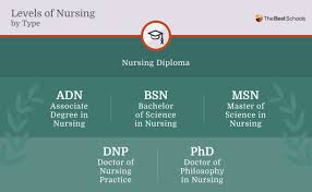 Like associate degrees, bachelor's degrees are undergraduate degrees. Nursing Explained Thebestschools Org