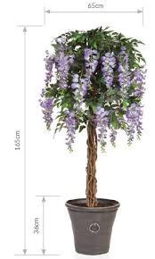 Maybe you would like to learn more about one of these? Artificial Silk Wisteria Tree In Planter Just Artificial
