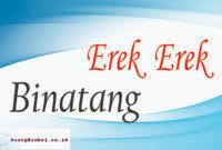 Erek erek barang 2d 3d 4d 3. Erek Erek Binatang Walang Sangit Archives Ruangbimbel Co Id