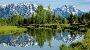 However, flight prices might be lower outside of this timeframe. 34 Cheap Flights To Jackson Hole Wy In 2021 Expedia
