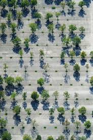 Parking Place Landscape And Urbanism Urban Landscape Landscape Design