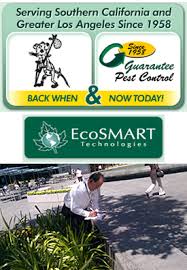 At homeshield pest control, we provide multiple services for both residential and commercial properties, including Orange County Pest Control Services In Los Angeles