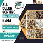Garlic Sorting Machine - MarkColorSorter | Buy Garlic Color ...