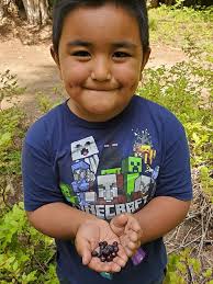 Located some huckleberries near Timothy Lake today.