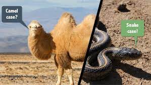 Whatever by vast vole on jan 08 2021 donate. Configuring A Camelcase To Snake Case Parser With Axios