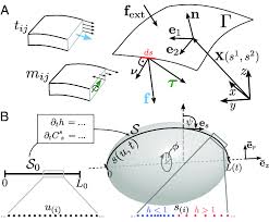 About 3% of these are reception desks. Description Of Curved Surfaces A Parameterization X S 1 S 2 Of A Download Scientific Diagram