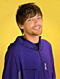Louis Tomlinson Favorite Series