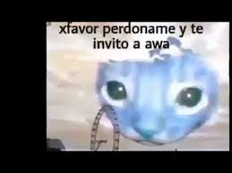Me Perd0n As Mejores Amigos X Siempre Youtube Feliz martes memes artesanales nalgona. me perd0n as mejores amigos x siempre