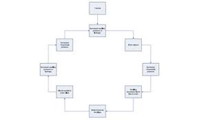 Image result for Cushing Response