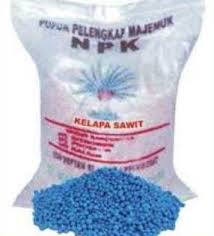 Daun seledri biasanya di gunakan untuk bahan masakan serta untuk menambah rasa yang khas lalu apa saja manfaat dan khasiat rebusan daun seledri untuk kesehatan, berikut ini informasinya. Pupuk Kelapa Sawit Baru Tanam Dan Menghasilkan Buah Pikiran