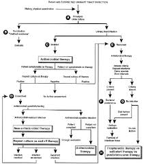 figure flow chart for treating recurrent urinary tract