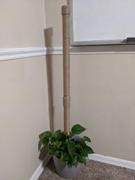 Check spelling or type a new query. Diy Moss Pole With Hemp Twine Any Advice For Helping It Grow Up The Pole Houseplants