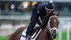 Updated Kentucky Oaks odds for each horse in field at Churchill Downs