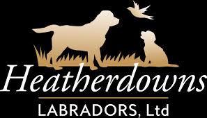 Petcurean coupons for pet food in canada. Tlc Dog Puppy Food Heatherdowns Labradors Ltd