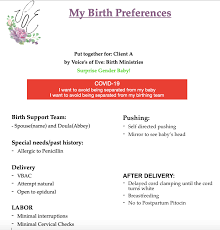 Sample Birth Plan Voices Of Eve