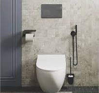 Concealed Toilet Cistern with Easy Access for Maintenance and Tailored  Installations