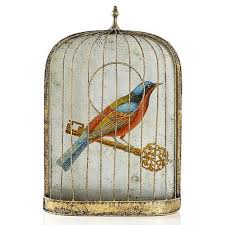 Bird In A Gilded Cage Book Love Bird In Gilded Cage Tattoo Idea Vogelkooi Afbeeldingen Kooi