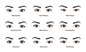 Makeup For Eye Shapes Wiring Diagrams