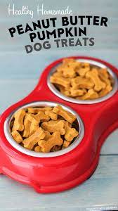 Healthy Homemade Peanut Butter Pumpkin Dog Treats Diy Dog Treats Recipe Dog Food Recipes Dog Treat Recipes Homemade Dog Food