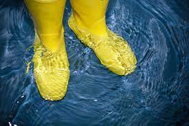 $0 cash down on insurance claims and jobs. Flooded Basement Cleanup How To Remove Water And Cleanup A Flooding Basement