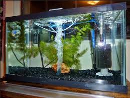 Artikel ini akan membahas mengenai 5 rekomendasi aquarium serta apa saja manfaat dari kegiatan memelihara ikan hias ini. Jenis Dan Harga Aquarium Yang Populer Dijual Sekarang Ini