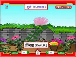 Flowers Name In Marathi Chart Best Flower Site