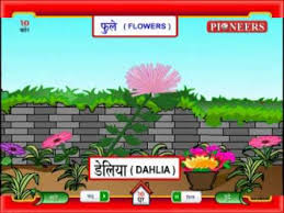 flowers name in marathi chart best flower site