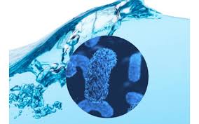 Legionella are waterborne bacteria that can proliferate under favourable conditions (temperatures between 25 and 50° celsius) in drinking water installations in buildings or in. A Comprehensive Approach To Legionella Control Empowering Pumps And Equipment