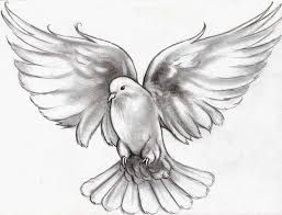 Bird Hitting Window Meaning Tha Night We Drove To Hospital I Was Staring Out That Window Looking To My Left Behinddriver Numb Inahaze And S Dove Tattoos Dove Tattoo Dove Tattoo Design