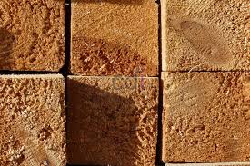 Harga kayu jati per meter murah. Harga Jual Kayu Jati Emas Di Jatimulya Depok