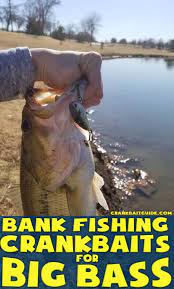 How To Use A Crankbait For Bank Fishing Crankbait Guide Bass Fishing Tips Trout Fishing Tips Fishing Techniques