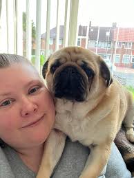 Hugo wanting me to give him a belly rub he would have me do that all day if  i stood for him so funny 😊