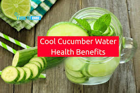 We did not find results for: 20 Surprising Cucumber Water Benefits For Health And Wellness