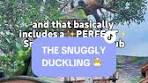 Snuggly Duckling Pub: Tokyo DisneySea's Tangled Dream ...