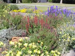 Plant List For The Texas Panhandle Flowers Backyard Garden Landscape Backyard Pool Landscaping Backyard Garden Design