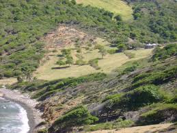 St vincent has seen a number of fatal volcanic eruptions in the past. Island Archive Baliceaux Island St Vincent And The Grenadines Caribbean