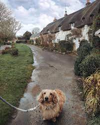 After Sharing Our Photos Of Godshill It S Been Suggested To Us A Few Times That We Paid A Visit To Winkle Street In Calbourne So Today We
